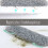 Replaceable Head Microfiber Duster, Washable And Reusable With Scratch-Resistant Hat For Gentle Yet Effective Cleaning 5
