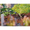Hozelock Hozelock 2785 End Line Pressure Dripper 4mm/13mm (pack 5) 2