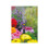 Hozelock Hozelock 2797 Mist Micro Spray Jet (pack 12) 2