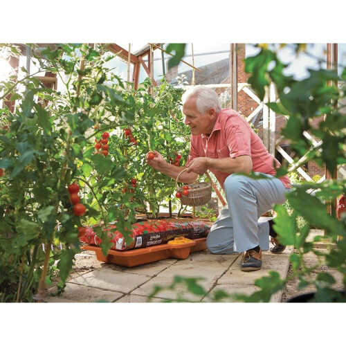 Hozelock Hozelock 2810 Growbag Waterer 2