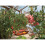 Hozelock Hozelock 2810 Growbag Waterer 4