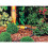 Hozelock Hozelock Porous Soaker Hose 3