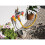 Hozelock Hozelock 2250 Flowmax 3-way Tap Connector 1/2 - 1in Bsp 3