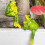 Statue de grenouilles, décor de Pot Huggers pour plantes,-2 5