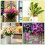 Attrape-soleil en alliage de zinc durable, 260 pièces, capture 7