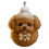 Charmant animal de compagnie avec décoration unique et-Tedd 1