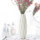 High-Quality White Ceramics: Simplicity Ceramic Vase, Creative Vase Container, Ideal Choice for Decor, Modern Creative Simplicity 3