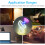 Anime Neon Sign Dimmable LED Wall Art για Υπνοδωμάτιο Ανδρική Σπηλιά Τροφοδοτείται από USB 7