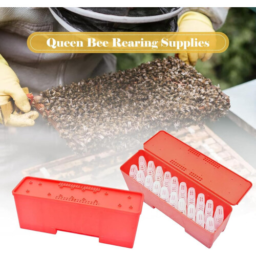 Essential Set Transport Box Breeding Cage Cage Cage Box Queen Bee Breeding System Suitable for Beekeepers Ref: 5145 2