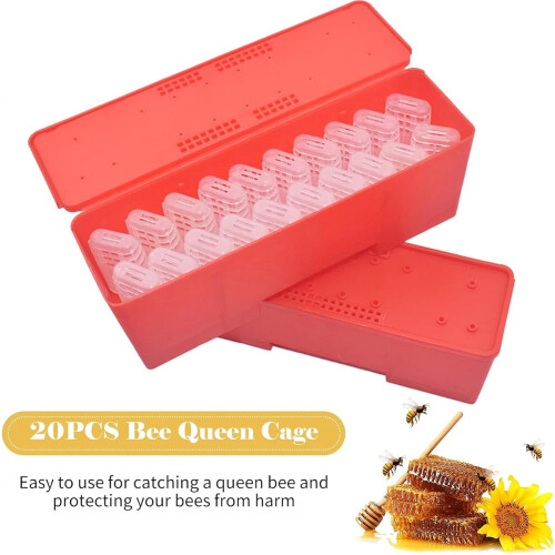 Essential Set Transport Box Breeding Cage Cage Cage Box Queen Bee Breeding System Suitable for Beekeepers Ref: 5145 1