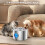 Le cours participatif Pet Spring encourage les chats à boire 3