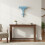 Flexible Hanging Resin Storage Rack-NX0182B light blue 7
