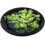 Pond Plant Guard Flexible Polyester Protective Net For Hassle  Water Feature Maintenance 2
