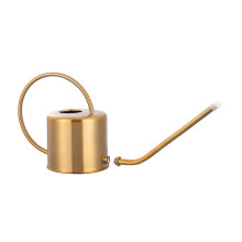 Watering Can for Indoor Plant Small Watering Can for House-gold