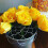 3Pcs Iron Wire Flower Arranging Tool Flower Lid Arranger-Silver 7