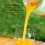 20 Blade Compacts Mini Juicer for Fruits Vegetables Portable 4