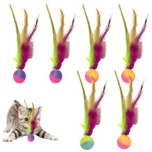 Inflatable cat balls – inflatable spheres, interactive cats, inflatable rollers, for exercise, bored kittens indoors.