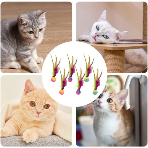 Inflatable cat balls – inflatable spheres, interactive cats, inflatable rollers, for exercise, bored kittens indoors. 2