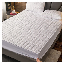 Thickened Mattress Cover With Elastic Band Solid Color Bed Sheet Cover Color CW Size 100x190x25