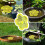 Lightweight Floating Insect Butterflies Pollinator Watering 5