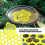 Lightweight Floating Insect Butterflies Pollinator Watering 6
