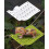 Multifunctional ABS Lizards Lounger Reptiles-White large 6