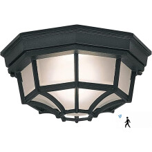 Plafondlamp met bewegingssensor en instelbare kleur, buitenverlichting, gegoten aluminium constructie, eenvoudige installatie, mat glas, duurzaam