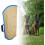 Dog Bite Pillow For Large Dogs, BiteResistant Training Toy, Blue, Dog Training Equipment 5