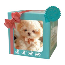 My Realistic Robot Puppy Smart AI Robot Dog Robot Dogs That Behave Like Real Dogs