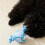 Durable ABS Moving Dog Ball Interactive Bouncing-Blue Normal 5