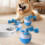 Motion Activated Dog Ball Chew Proof ABS Design-Blue bird sing 2