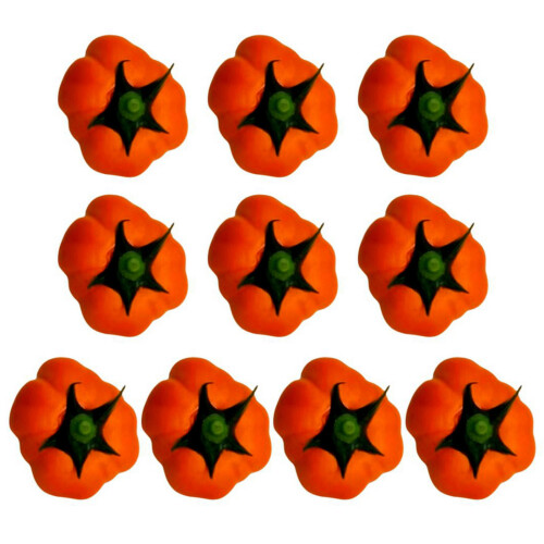 Ensemble de citrouilles en mousse sûre, pour décoration de-S