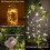 Warm White Fairy Lights for Wedding, LED String Lights Battery Operated with Dimmable Remote Controlled and Timer Function, 8 Modes Waterproof for 4