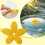 Bees Friendly Floating Water Station For Backyard Beekeeping 2