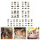Fournitures de papier recyclables d'installations rapides-21 ans 3