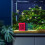 Low Noise Aquariums Carbon Filter Cubes Effective Water-Red 6