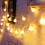 Twinkling Wonders: Ζεστά Λευκά Φωτάκια σε Γλάστρα, Λειτουργούν με Μπαταρία, 2 Πακέτα 2