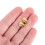 5 Titanium Neussteuntjes Voor - Waterdruppel Antislip 4