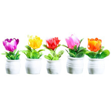 20 mini blumentöpfe für puppenhaus, bonsai, pflanzgefäße