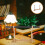 4St Lege Afstudeerballonboxen Feestversiering 3