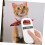 Animal Tag Reader, Animal Handheld Reader, Cat Microchip Scanner, Scanner Pen, Document Scanner, Microchip Scanner, Animal ID Scanner, Plastic White 5