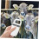 Animal Tag Reader, Animal Handheld Reader, Cat Microchip Scanner, Scanner Pen, Document Scanner, Microchip Scanner, Animal ID Scanner, Plastic White 3