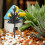 116Pcs Mini Trees For Model Railroad Diorama Landscaping Sand Table 5