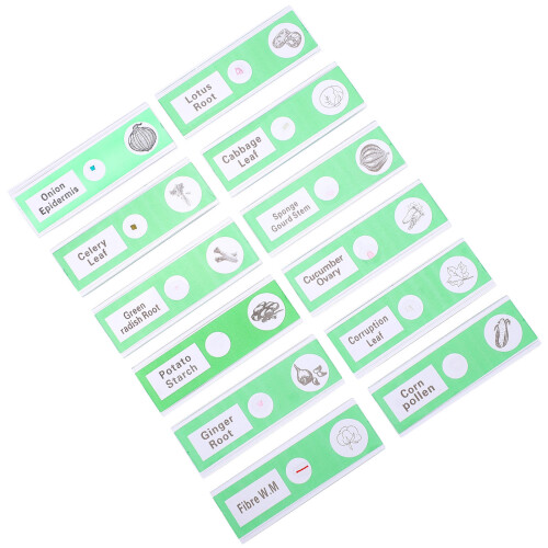 12Pz Vetrini Microscopio Preparati ABS Verde Per Bambini E Casa