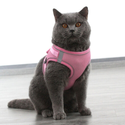 Peitoral Rosa Para Cães Leve Durável E Confortável 2