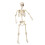Flexible Joint Skeleton Decoration For Outdoor Haunting-L 1