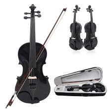 Beginner Violin 4/4 for Beginners, Violin Lesson Study, Solid Wood Maple Panel Violin Set with Accessories (Set 1)
