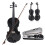 Beginner Violin 4/4 for Beginners, Violin Lesson Study, Solid Wood Maple Panel Violin Set with Accessories (Set 1) 1