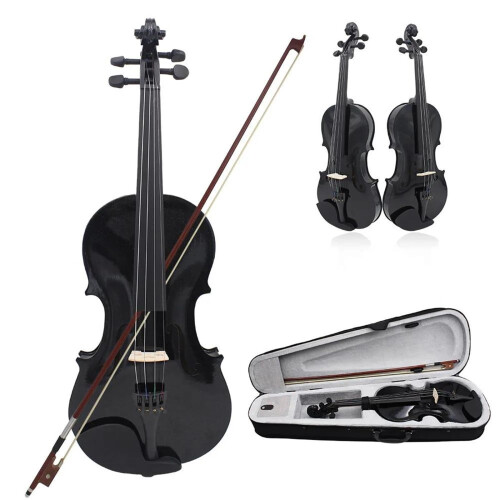 Beginner Violin 4/4 for Beginners, Violin Lesson Study, Solid Wood Maple Panel Violin Set with Accessories (Set 1)