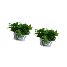 Multifunctional Iron Plant Shelf Balcony Gardening-White